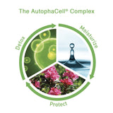 The CellDetox Serum