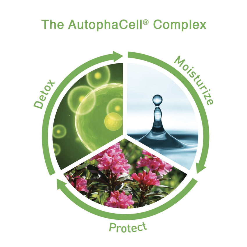 The CellDetox Serum