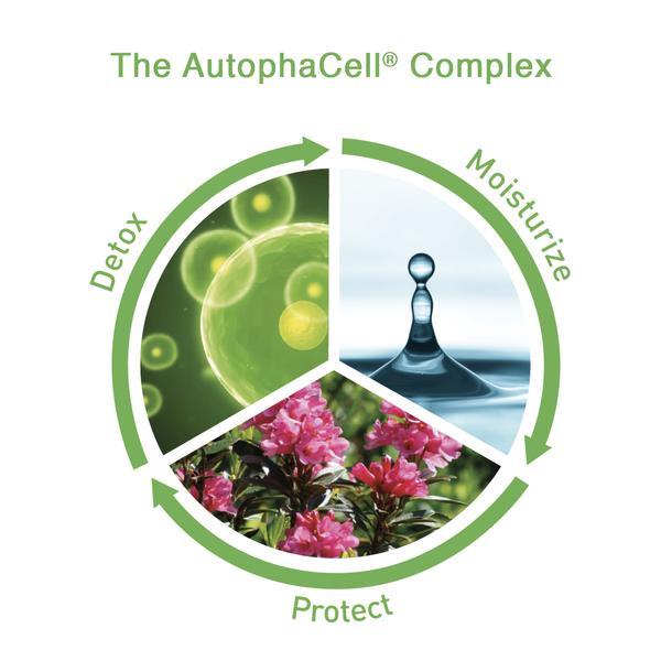 The CellProtect Eye Concentrate