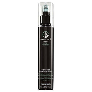 Paul Mitchell Awapuhi Wild Ginger Hydromist Blow-Out